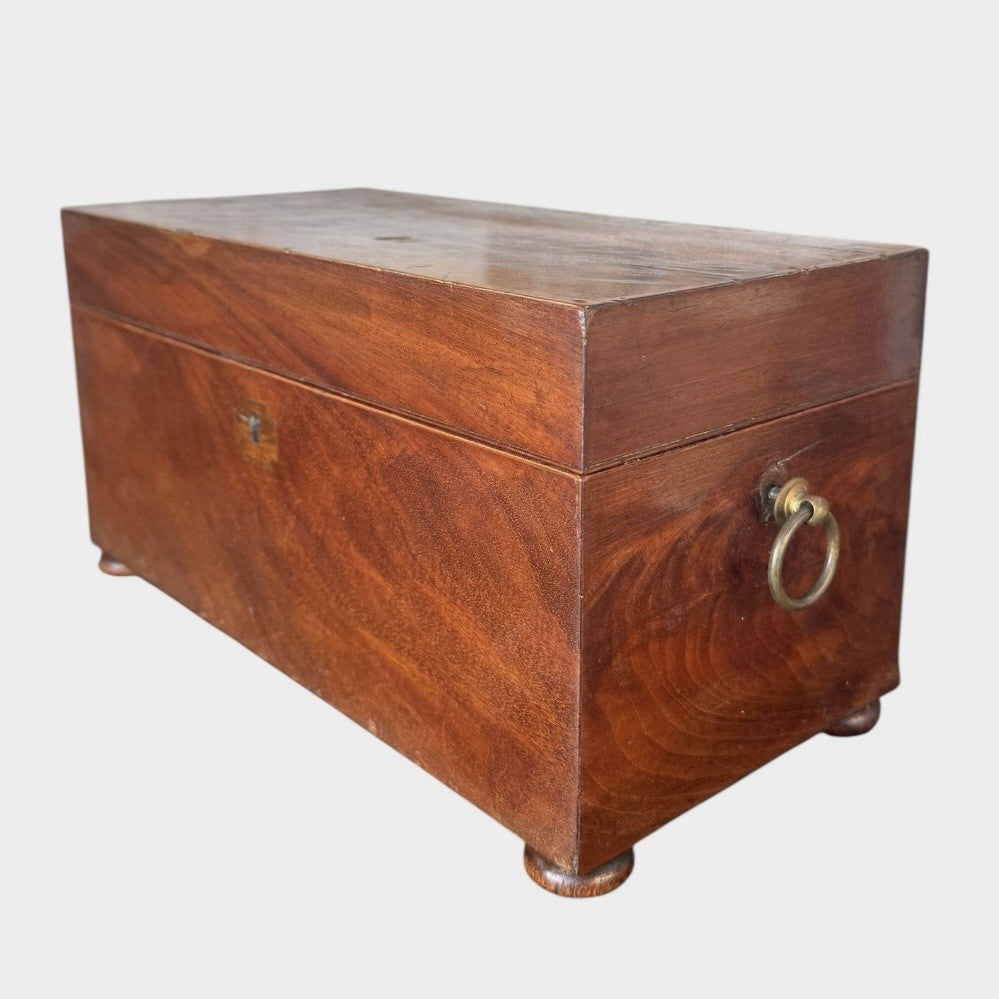Antique Regency Tea Caddy Early 19th Century Wooden Tea Chest