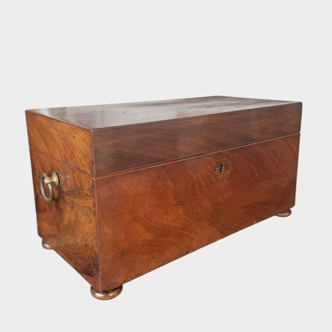 Antique Regency Tea Caddy Early 19th Century Wooden Tea Chest