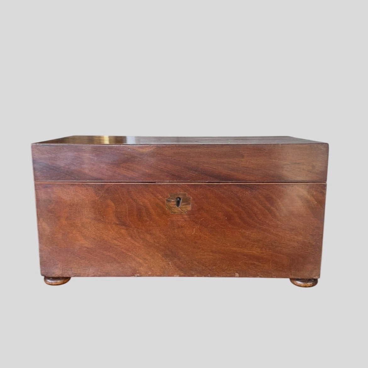 Antique Regency Tea Caddy Early 19th Century Wooden Tea Chest