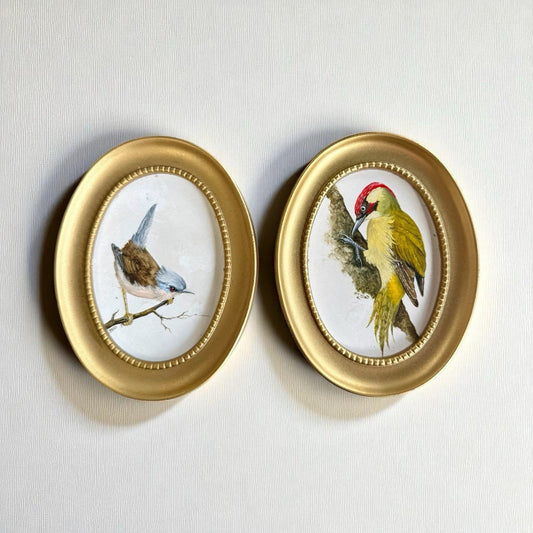 Pair Of Oil On Board Ornithological Studies By Tricia Hand Signed 