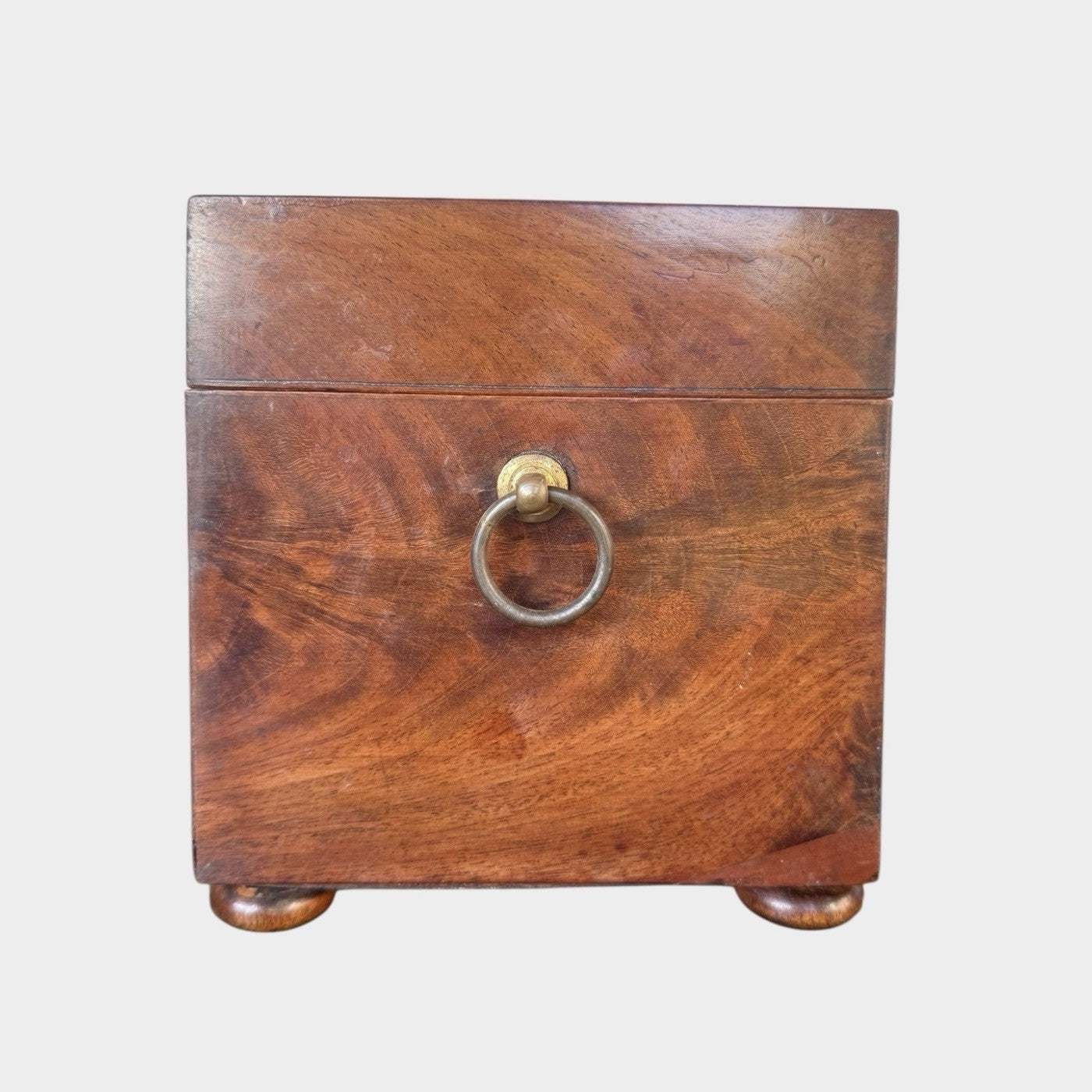 Antique Regency Tea Caddy Early 19th Century Wooden Tea Chest