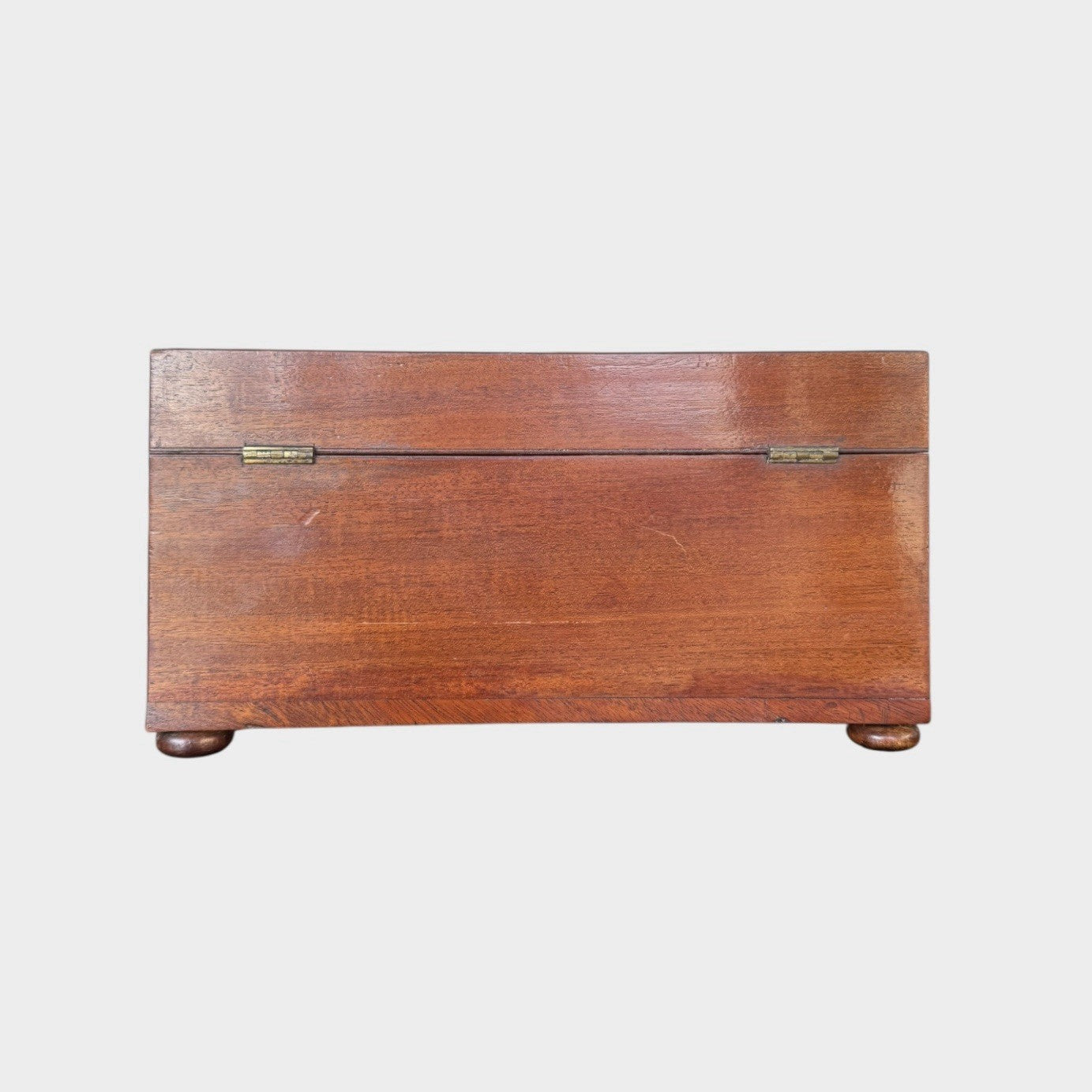 Antique Regency Tea Caddy Early 19th Century Wooden Tea Chest